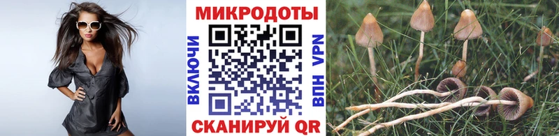 наркота  Кунгур  Галлюциногенные грибы Magic Shrooms 
